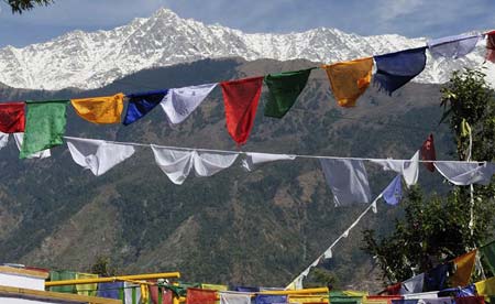 Yoga In Dharamshala